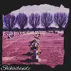 shikaibandz - Silver Lining - Single